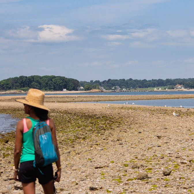Get Out & Kayak To Cockenoe Island Bird Estuary