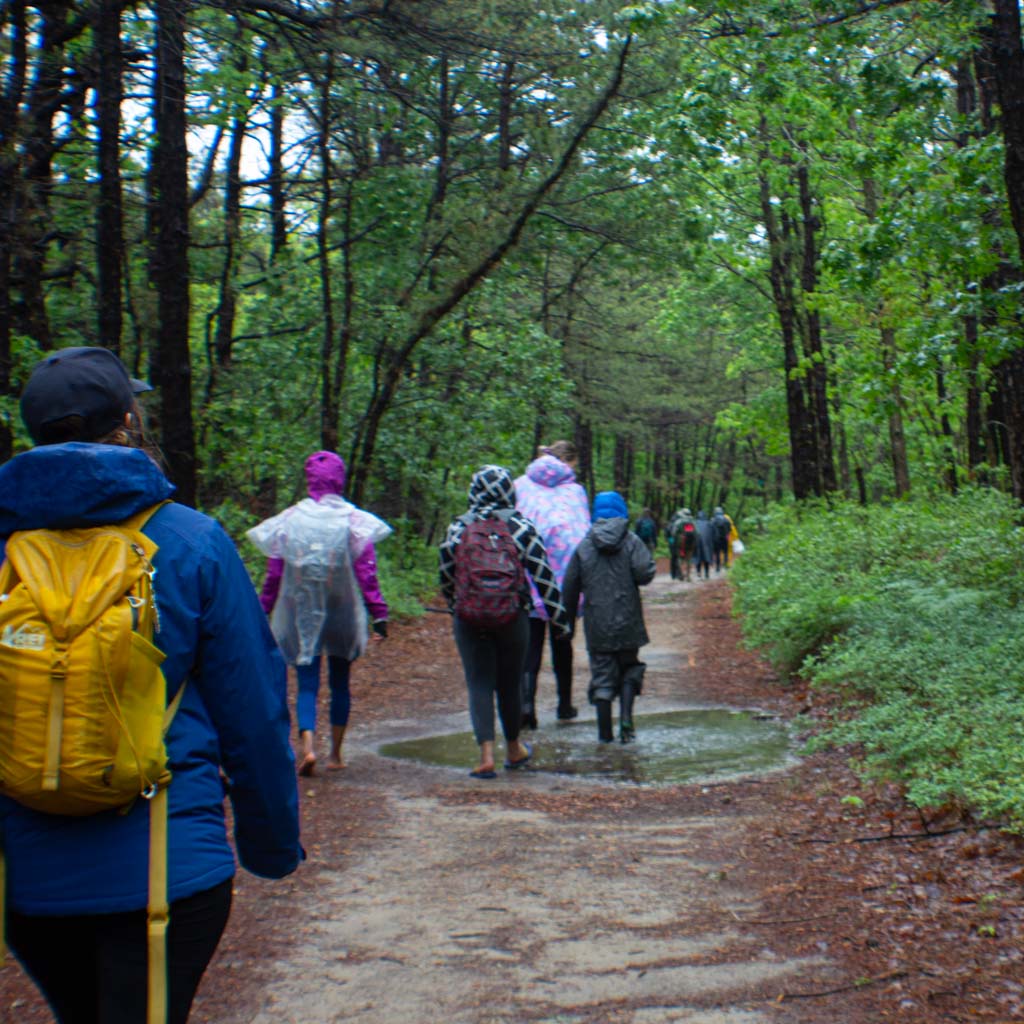 Hike Barefoot With Everyone at Brookhaven State Park (June 1 2025)