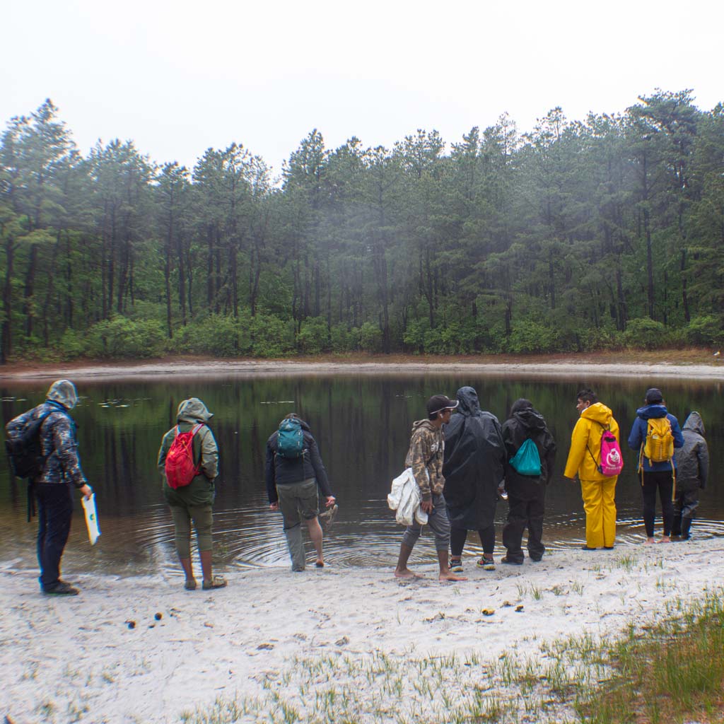 Hike Barefoot With Everyone at Brookhaven State Park (June 1 2025)