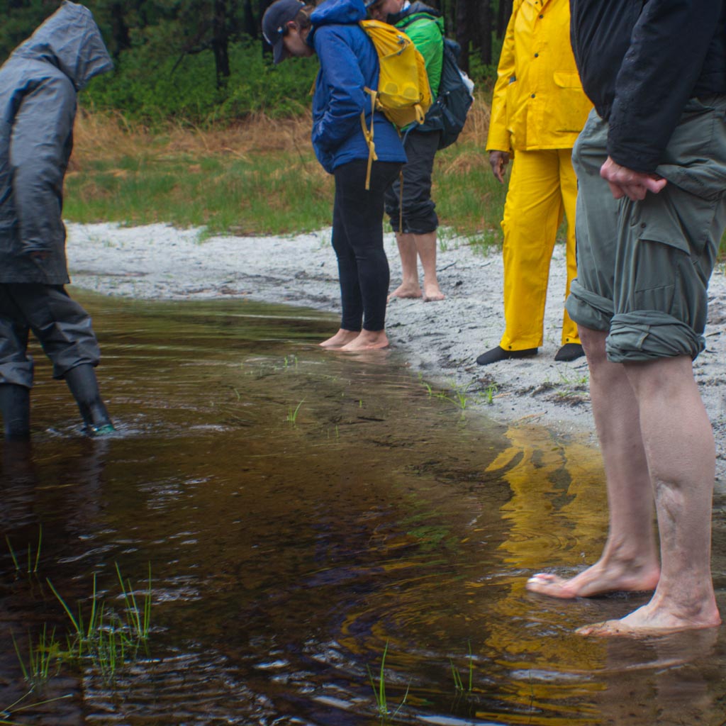 Hike Barefoot With Everyone at Brookhaven State Park (June 1 2025)