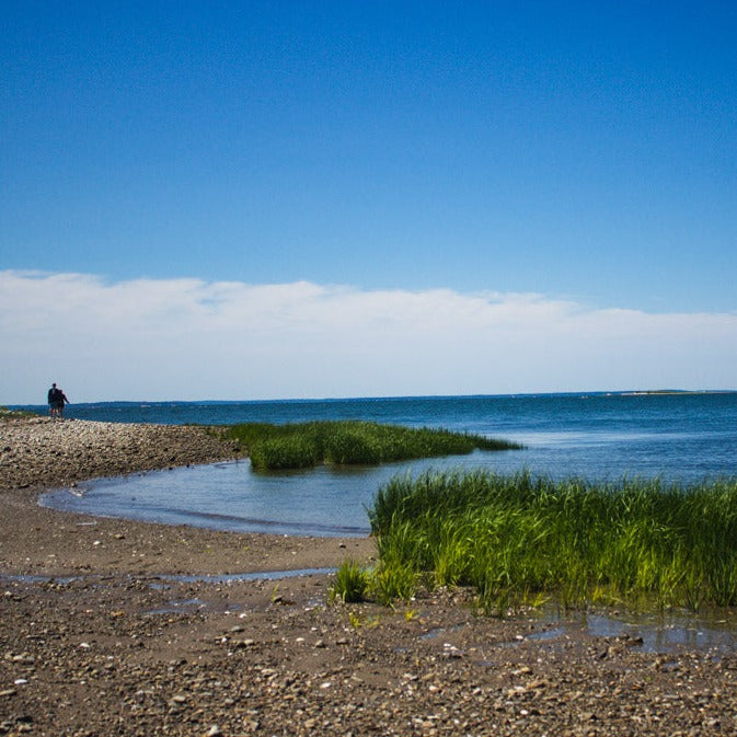 Get Out & Kayak To Cockenoe Island Bird Estuary