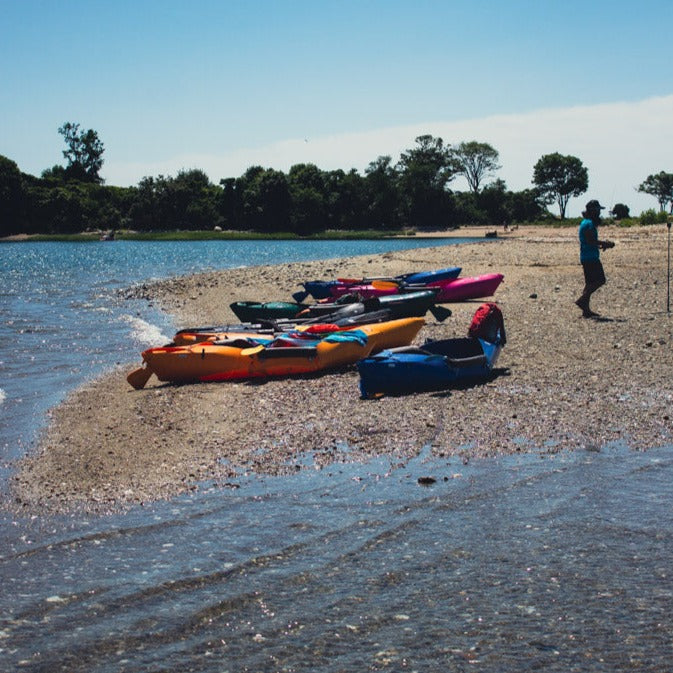 Get Out & Kayak To Cockenoe Island Bird Estuary