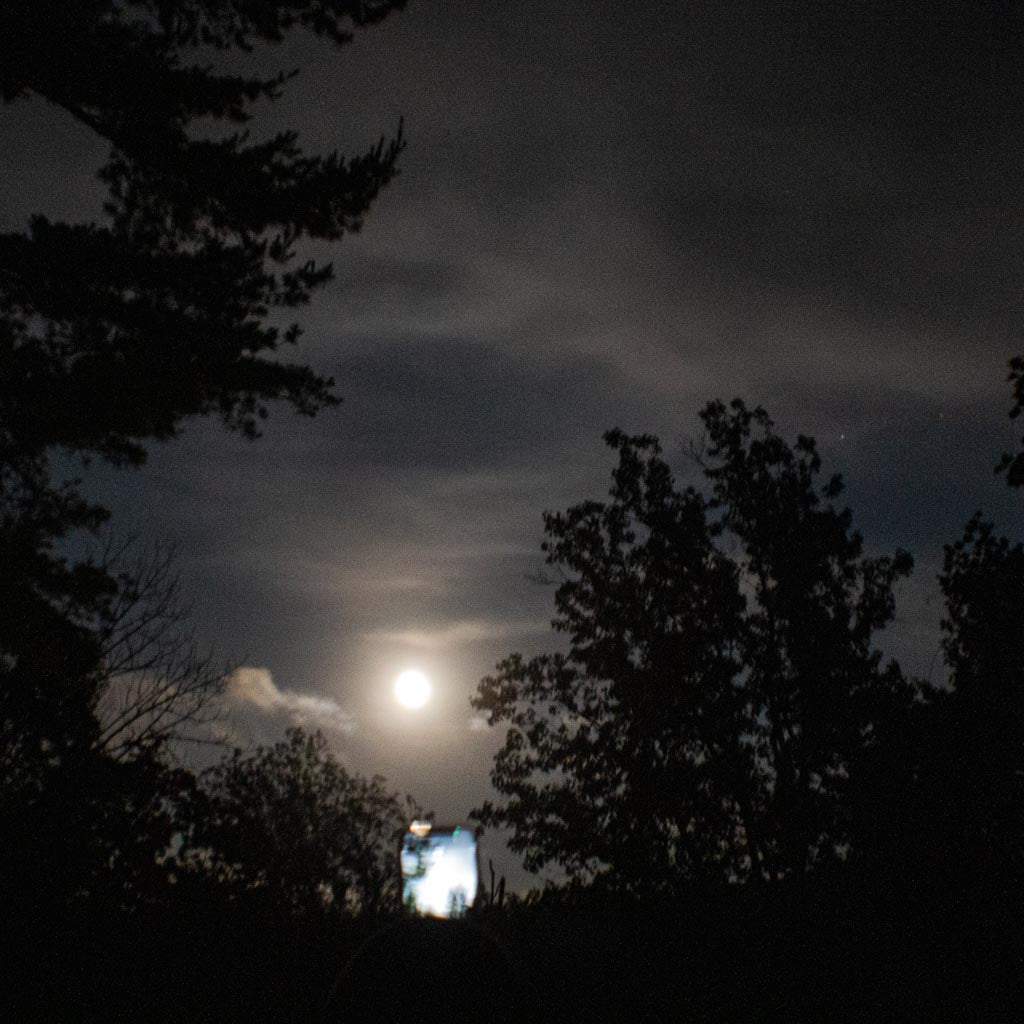 Hike Under A Full Moon on the Appalachian Trail Boardwalk (Sep 7 2025)