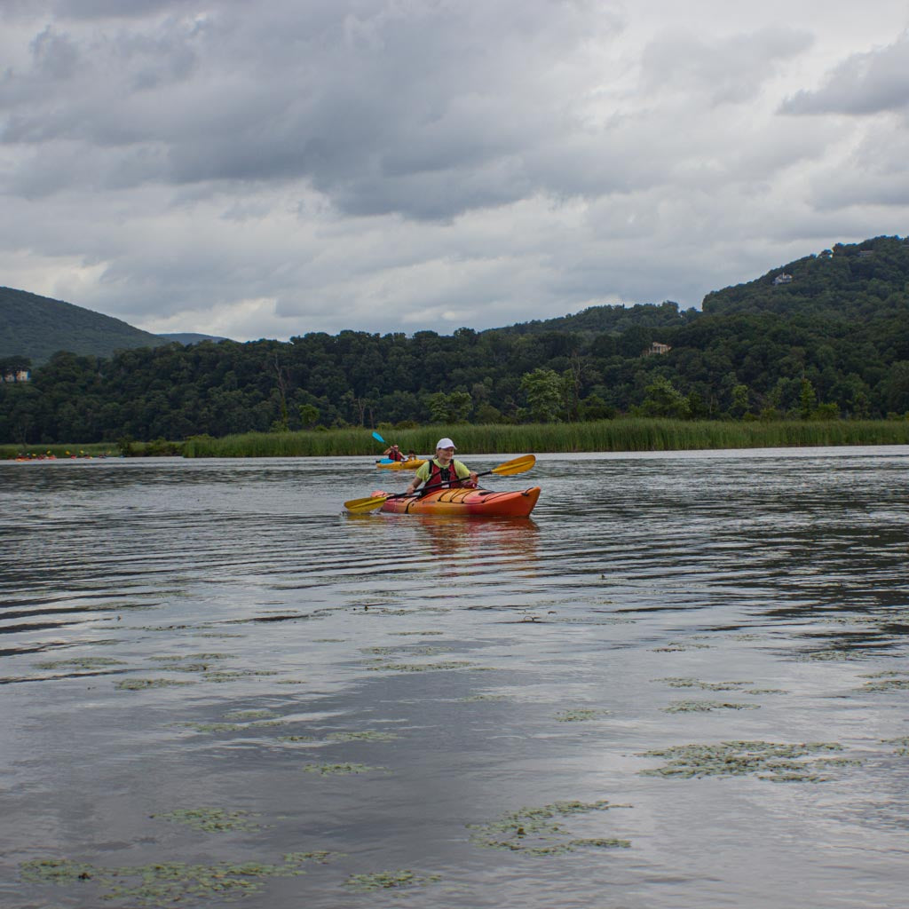Get Out & Kayak To A Beautiful Tidal Marsh and Protected Bird Sanctuary