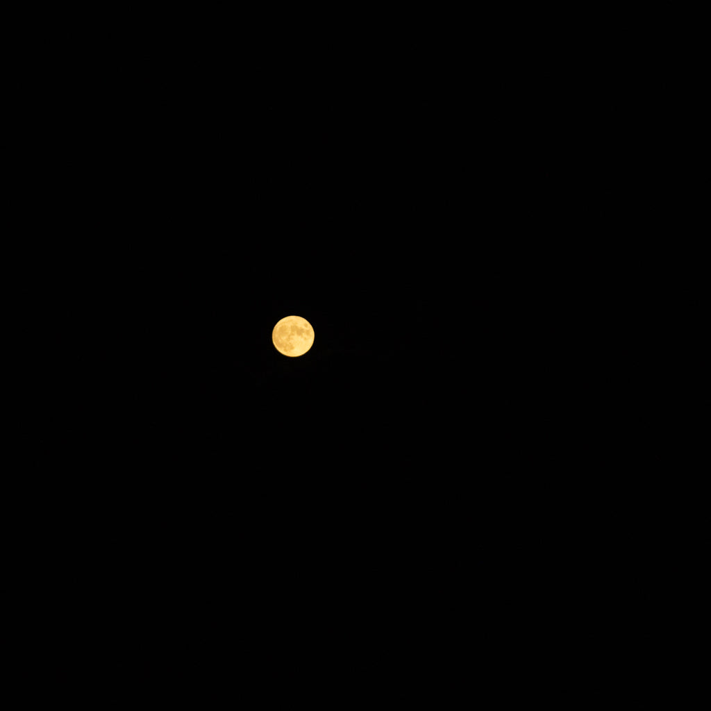 Hike Under A Full Moon on the Appalachian Trail Boardwalk (Sep 7 2025)