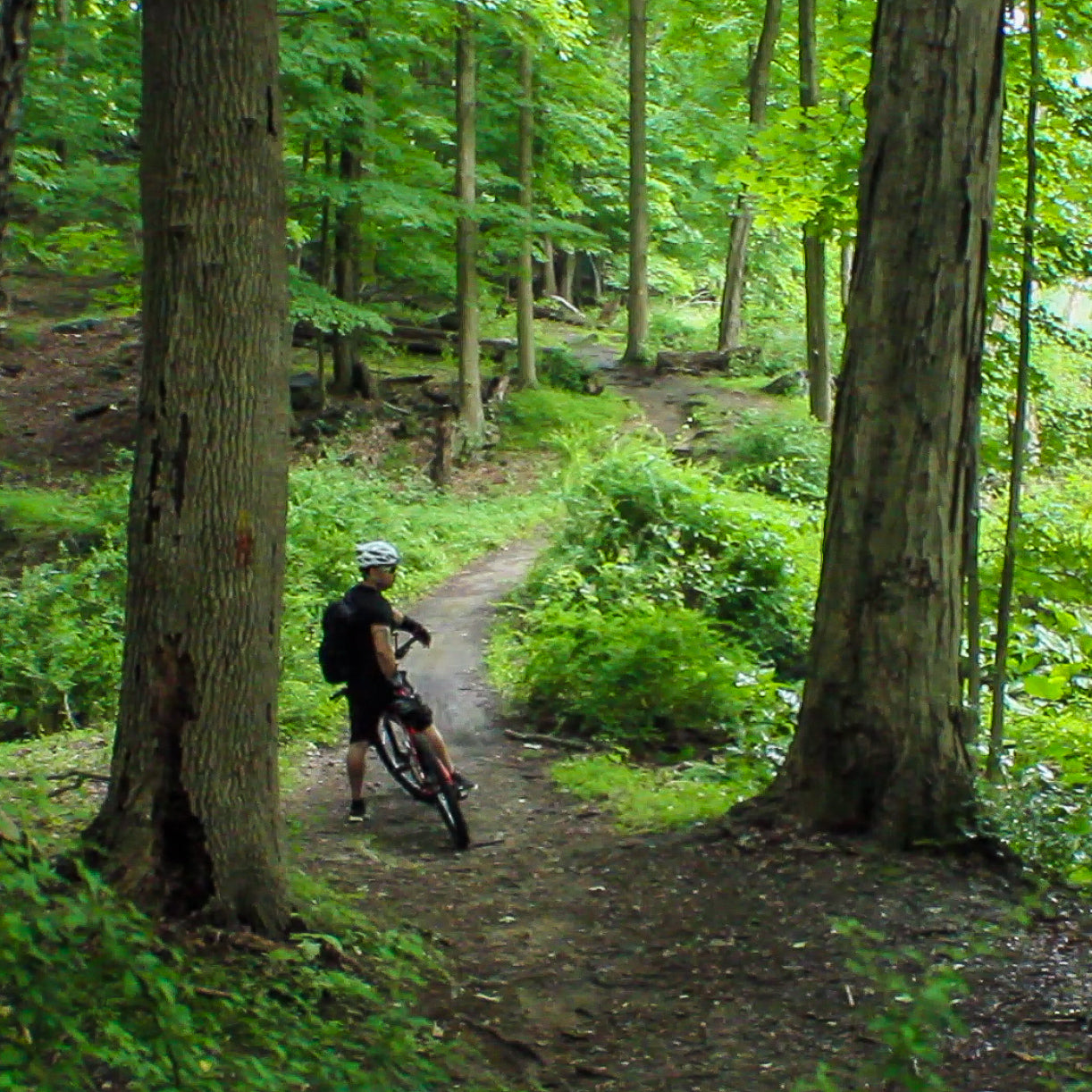 Super Fun Mountain Biking