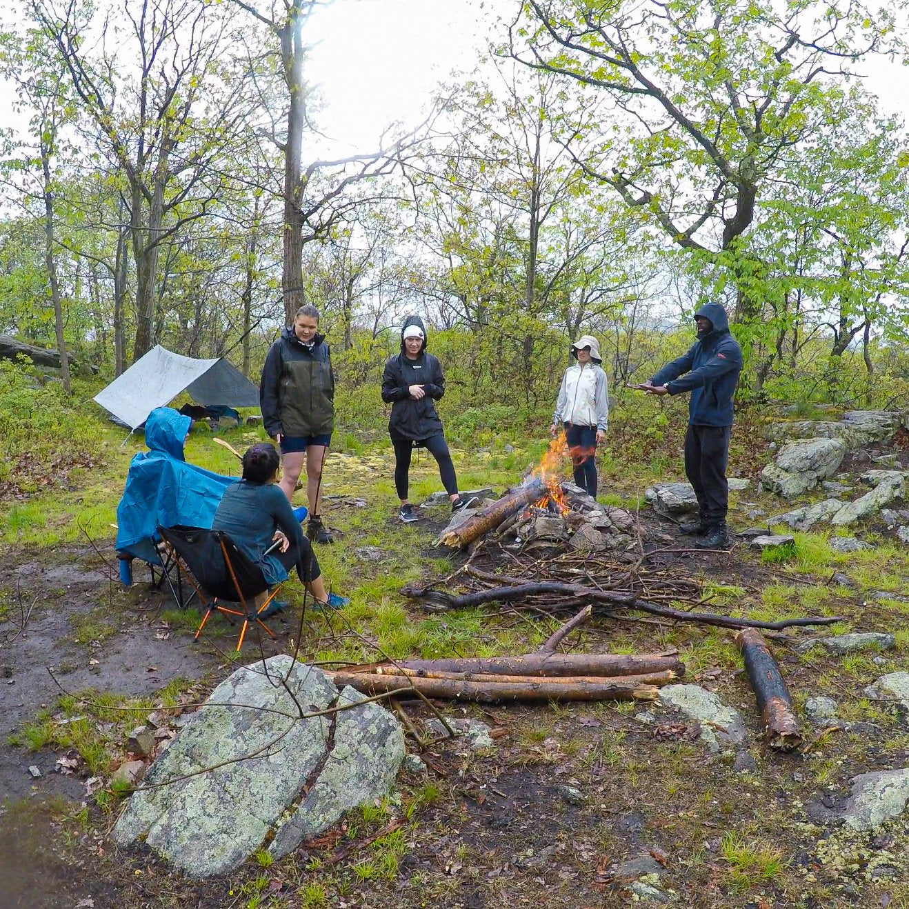 Interdependence Day Hike at Naugatuck State Forest, We Are All Ohana (Jul 5 2025)