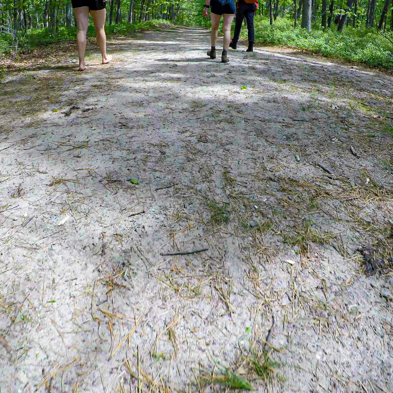 Hike Barefoot With Everyone at Brookhaven State Park (June 1 2025)