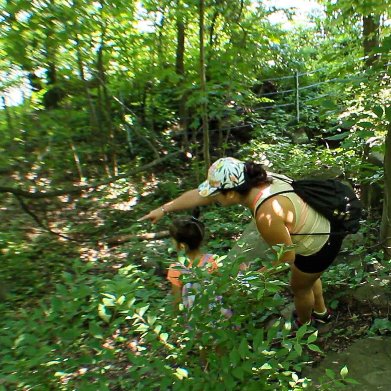 Family Hike at Hudson Highlands State Park at Garrison, Bring The Kids (May 10 2025)
