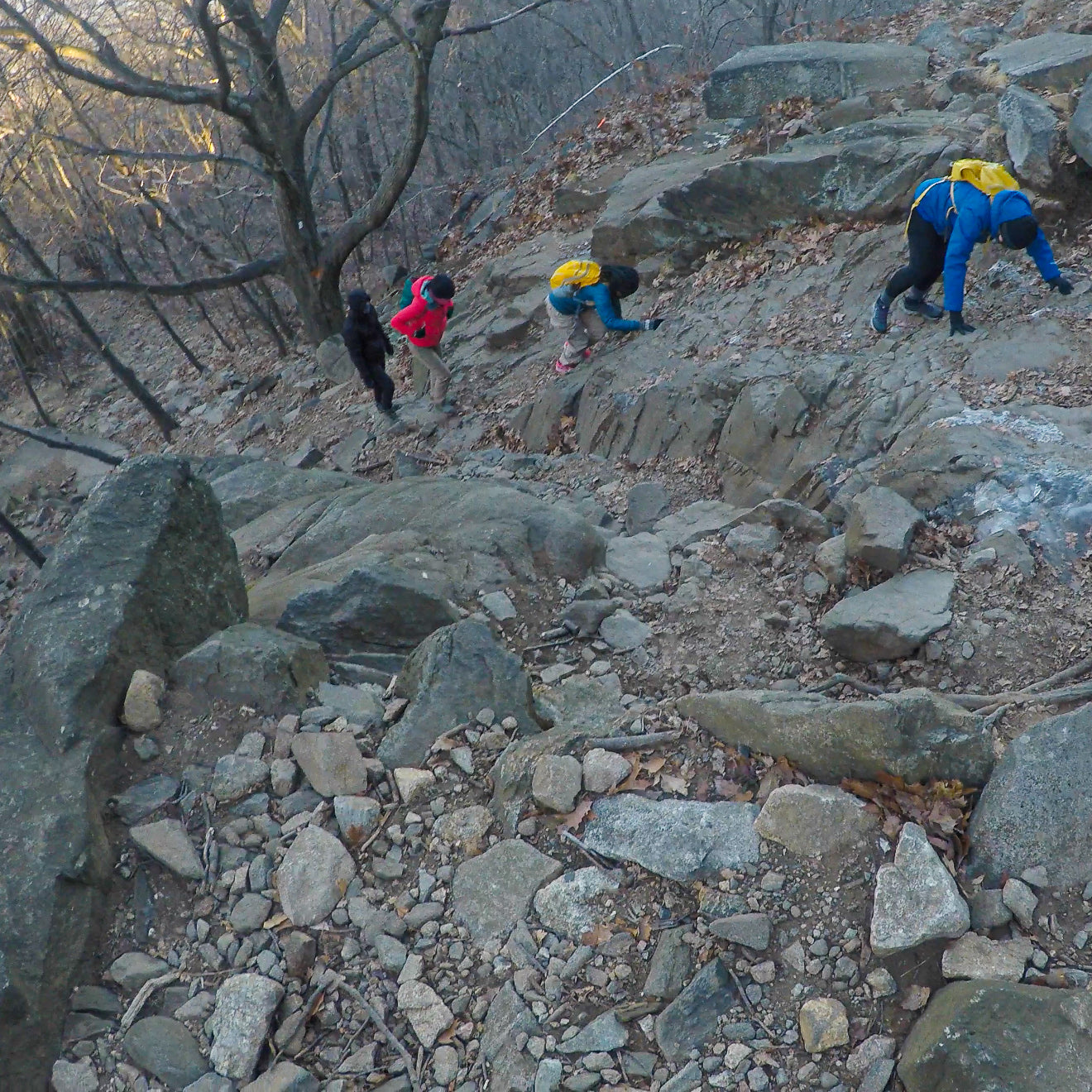 The #Onward Winter Challenge Hike Series