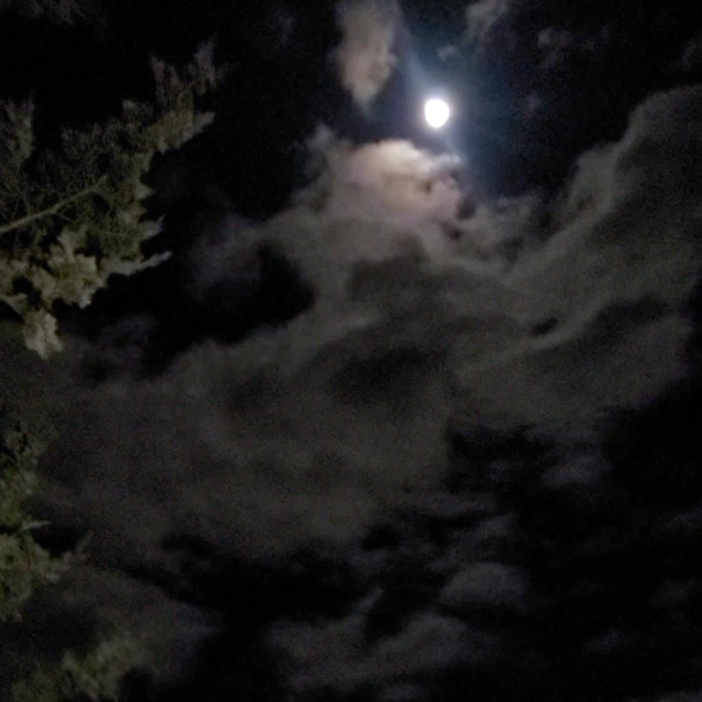 Hike Under A Full Moon on the Appalachian Trail Boardwalk (Sep 7 2025)