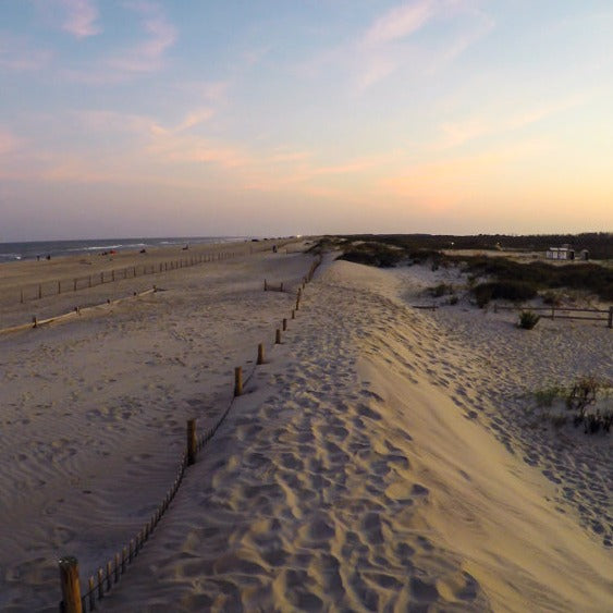 Labor Day Weekend Beach Glamping at Wildwood (Aug 30-Sep 1, 2025)