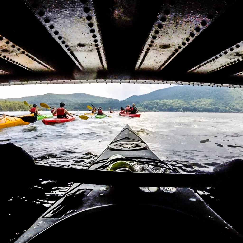 Get Out & Kayak To A Beautiful Tidal Marsh and Protected Bird Sanctuary