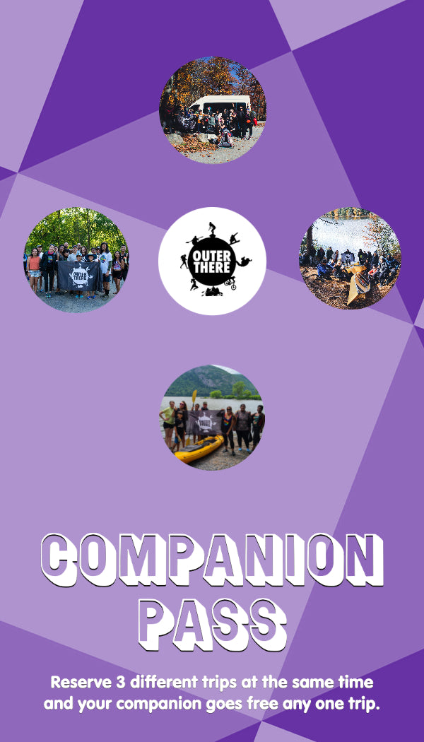 *NEW* The Companion Pass