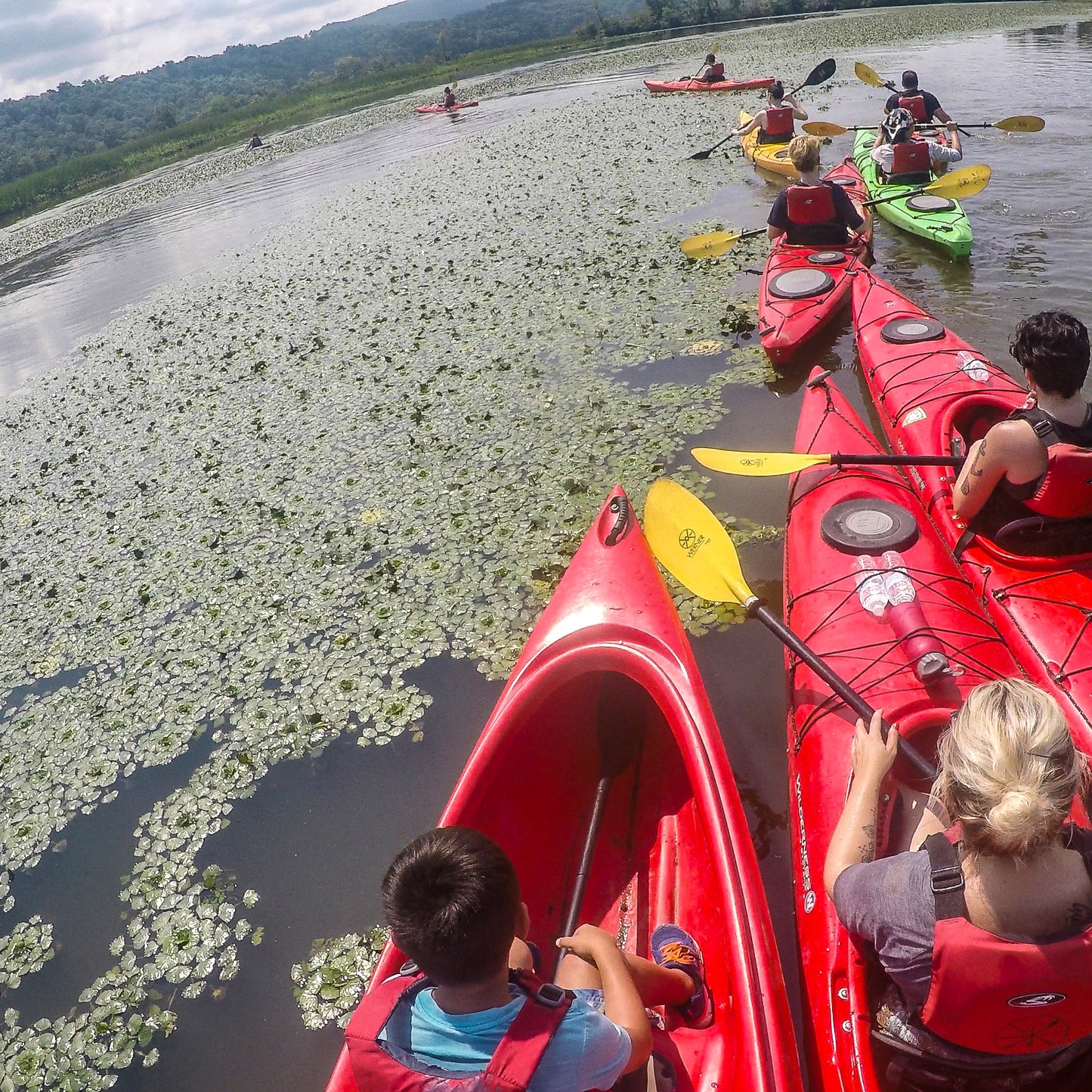 Get Out & Kayak To A Beautiful Tidal Marsh and Protected Bird Sanctuary (Select Dates)