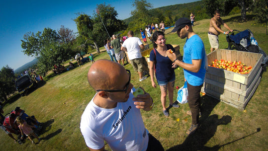 Apple Picking Sunday