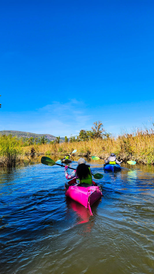Get Out & Kayak To A Beautiful Tidal Marsh and Protected Bird Sanctuary