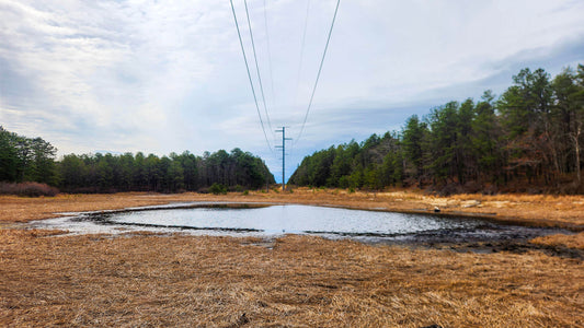Spring Group Hike to Brookhaven State Park (subbed for Glen Onoko Falls)