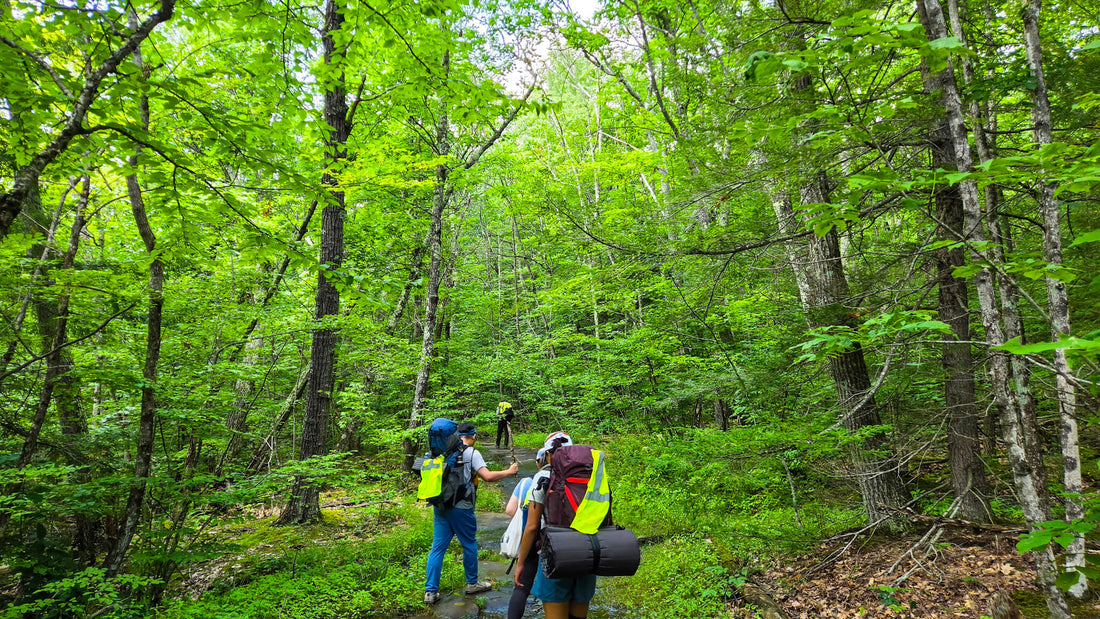 Beginner Summer Overnight Backpacking at Wyndham
