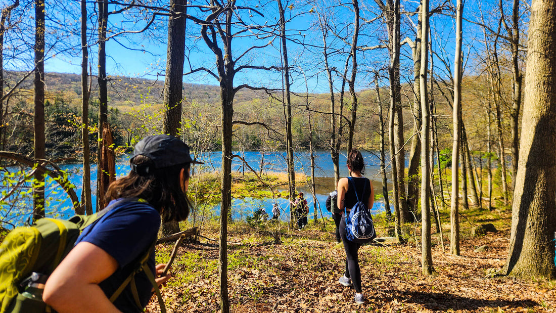 Spring Group Hike to Black Rock Forest