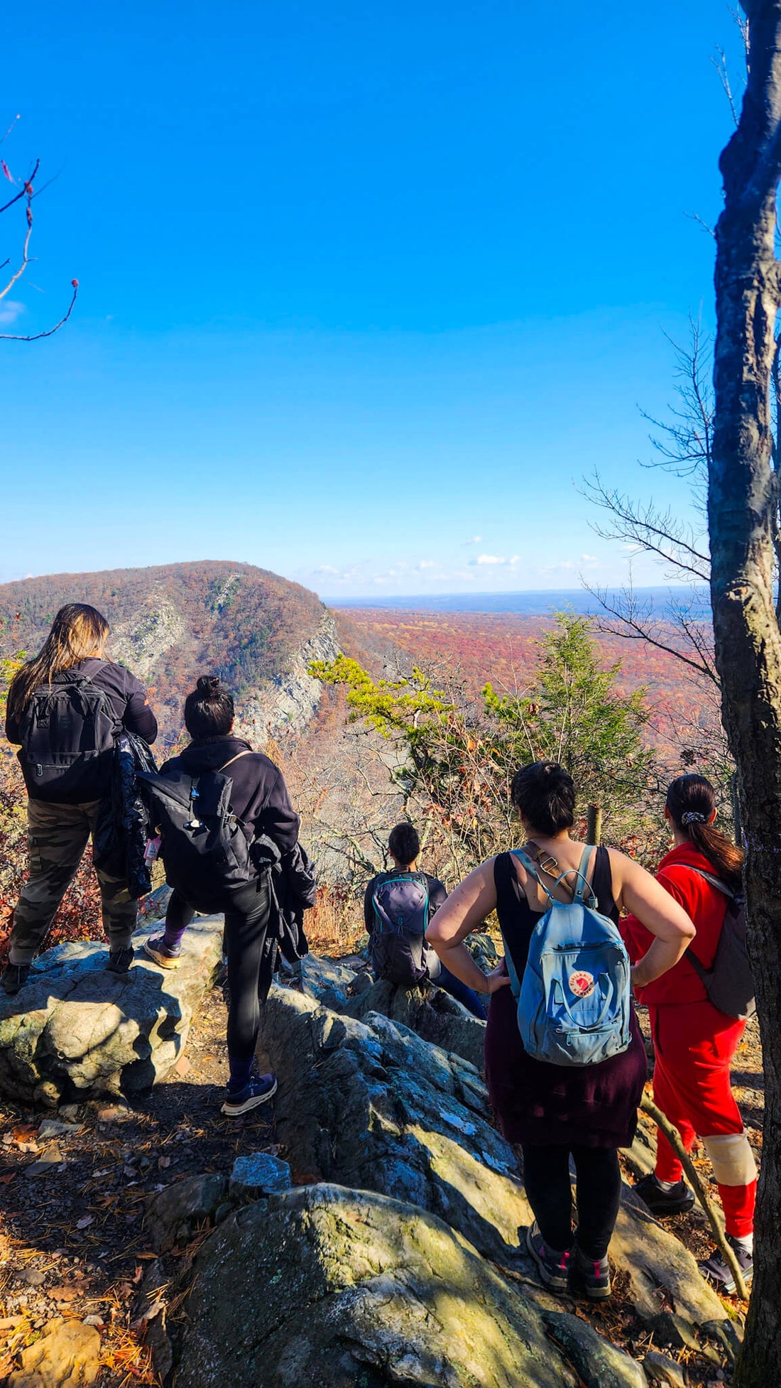 Fall Gratitude Hike at Mt. Minsi