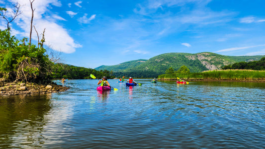 Independence Day Kayaking at Constitution Marsh