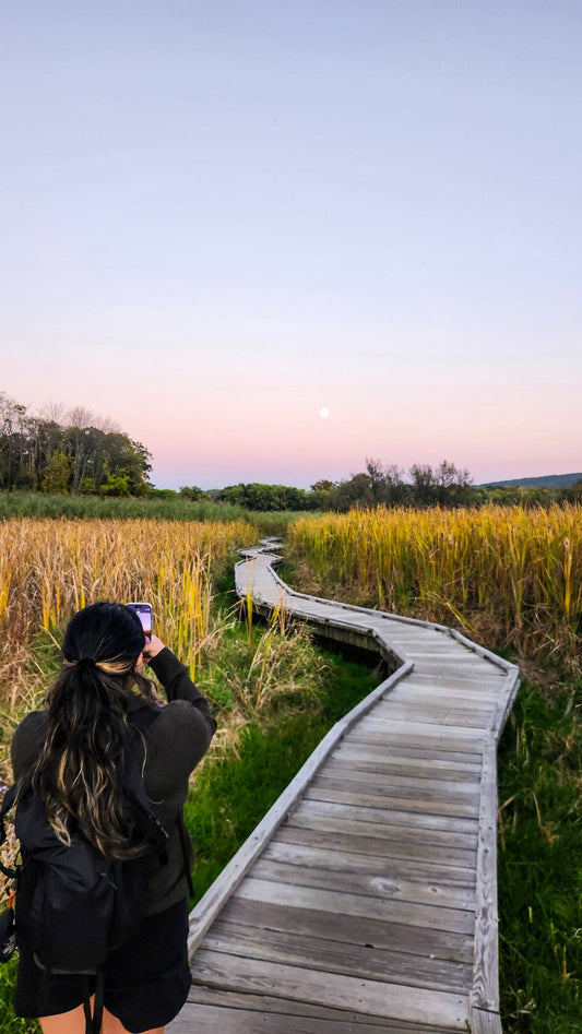 Hike Under A Full Moon on the Appalachian Trail Boardwalk