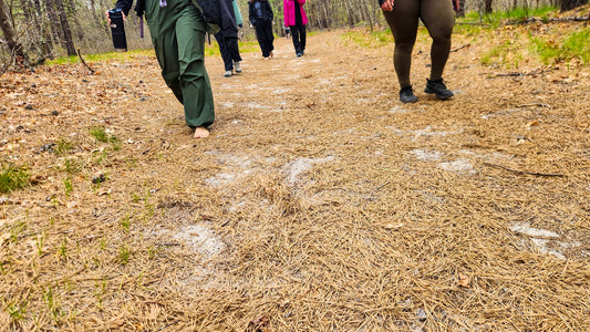 Spring Group Hike to Brookhaven State Park (Barefoot Hike)