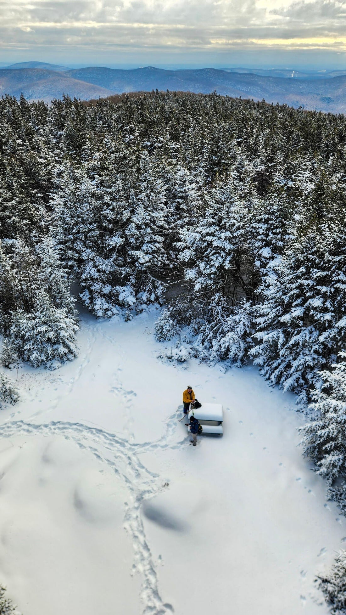 "Fall" Group Hike To Balsam Fire Tower, But It Snowed