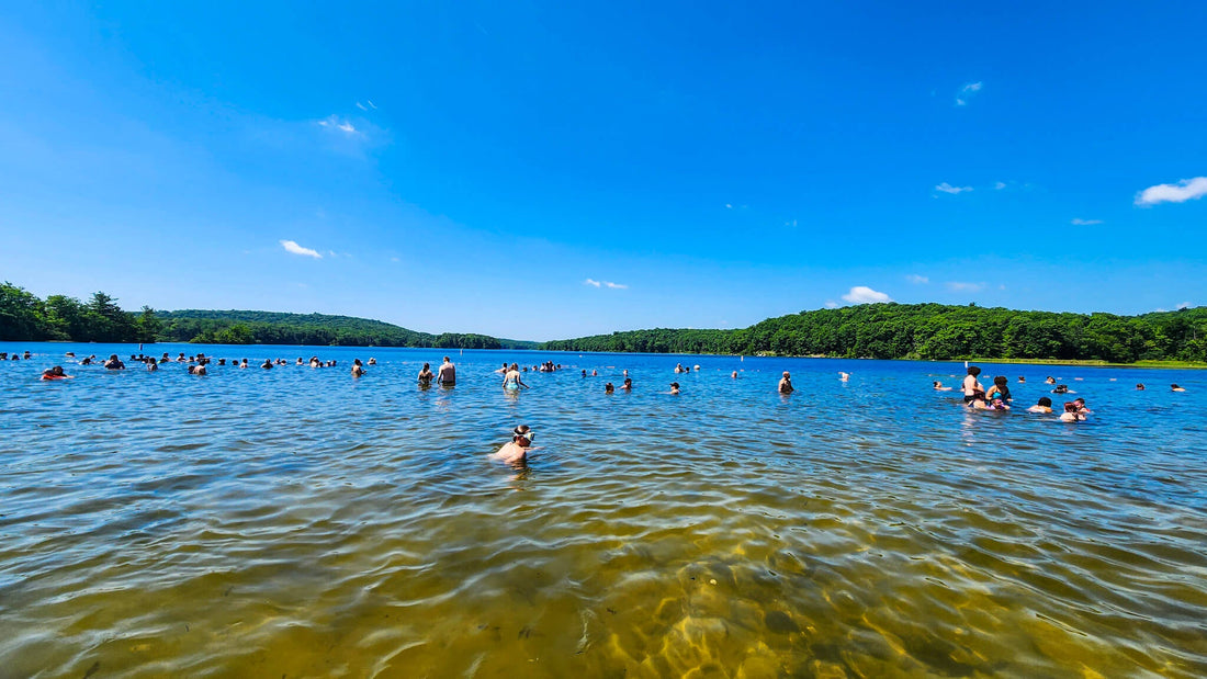 Summer Friday Group Hike at Wawayanda Lake Beach