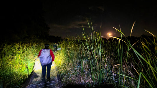 Hike Under A Full-ish Sturgeon Moon on the Appalachian Trail Boardwalk