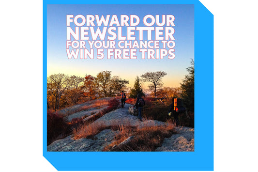 We're giving away 5 free trips