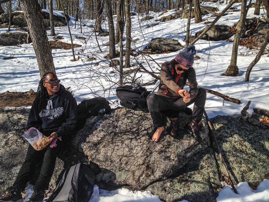 Advanced Winter Group Hike from Bear Mountain to Garrison through Anthony's Nose