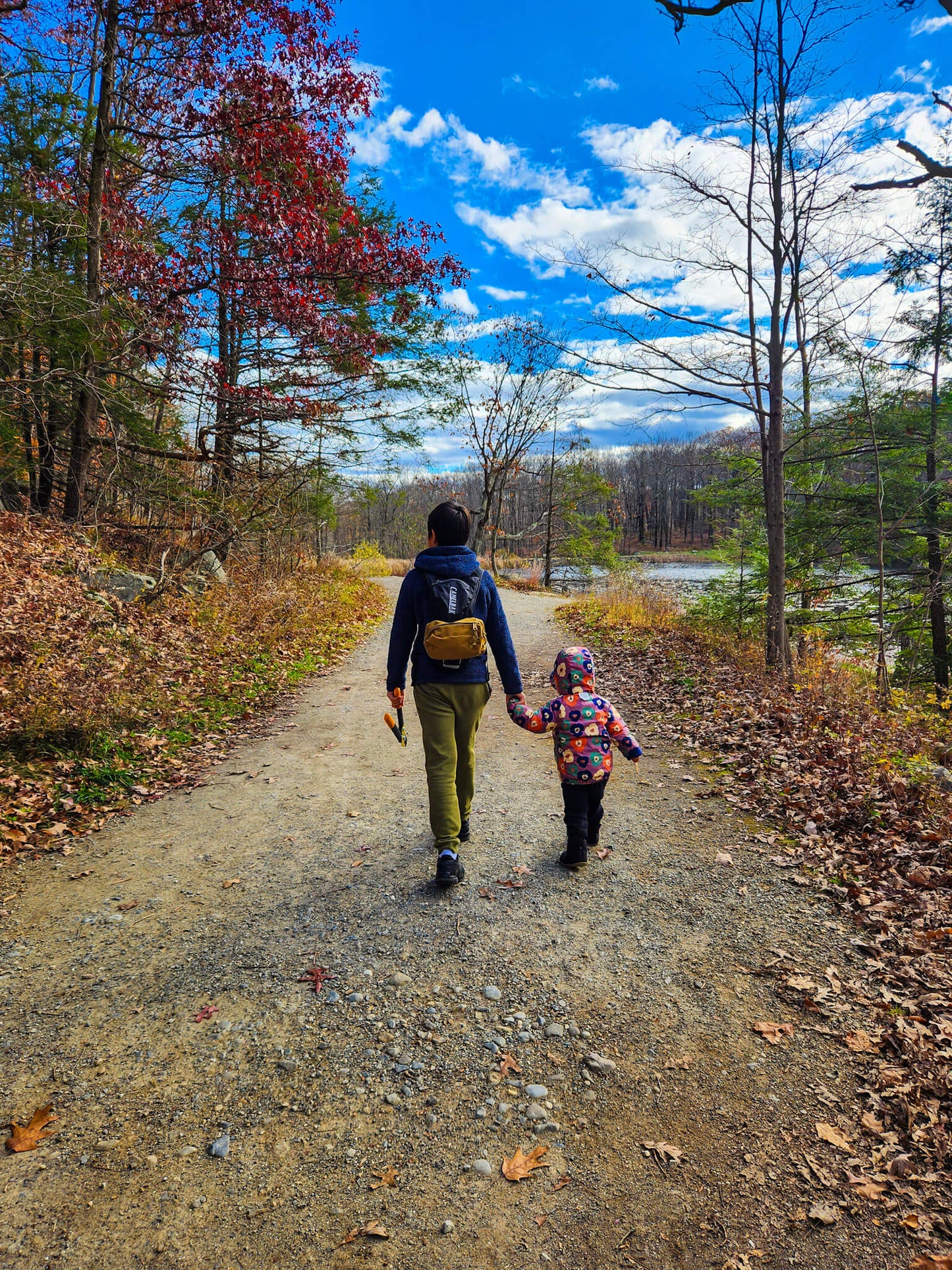 *NEW* Kids Hikes - From $20, For Ages 4-14, Includes Pickup! (Select Dates)