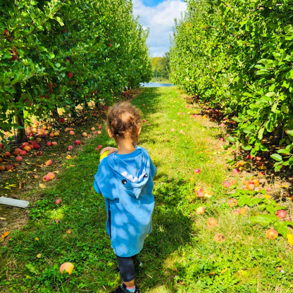 Direct Shuttle to Fall Apple and Pumpkin Picking