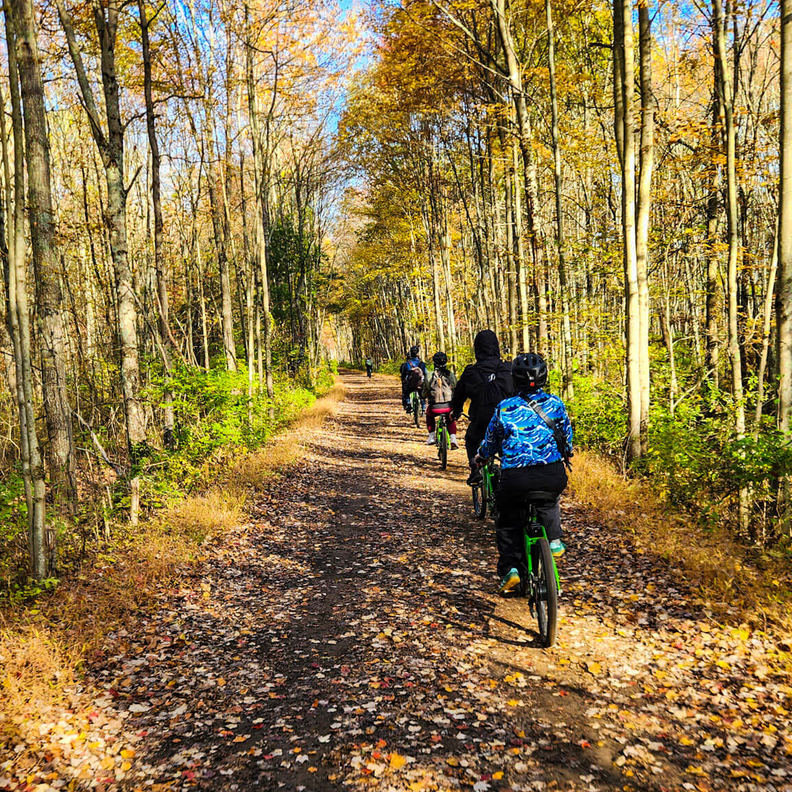 People riding bicycles on a leaf-covered path through a forest during autumn.