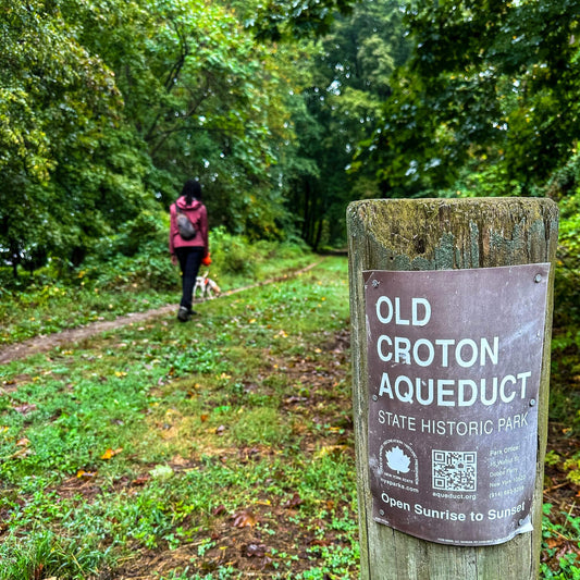 Hike & Mingle at Old Croton Aqueduct with Sheila