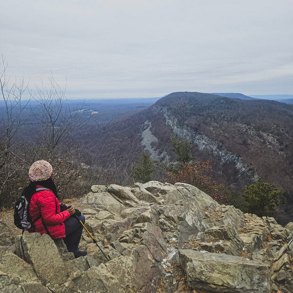 Fall Gratitude Hike at Mt Tammany, with Bonus Visit to a Wolf Preserve (Nov 29 2025)