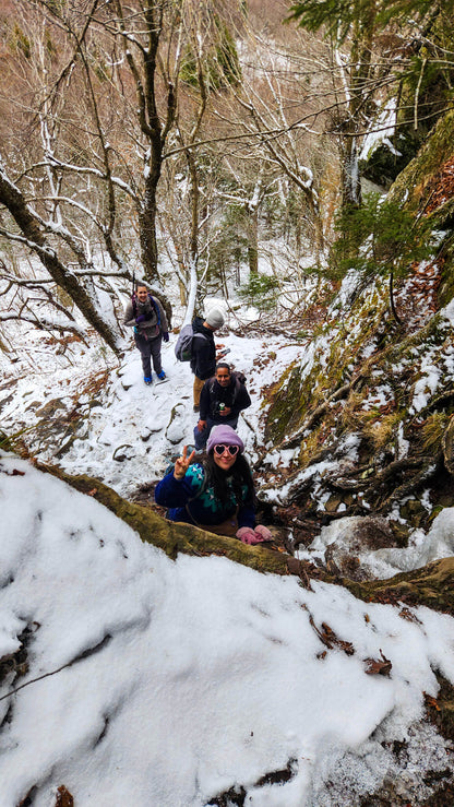 *NEW* Fall Friday Group Hikes - Only $20, Including Pickup! (Select Dates)