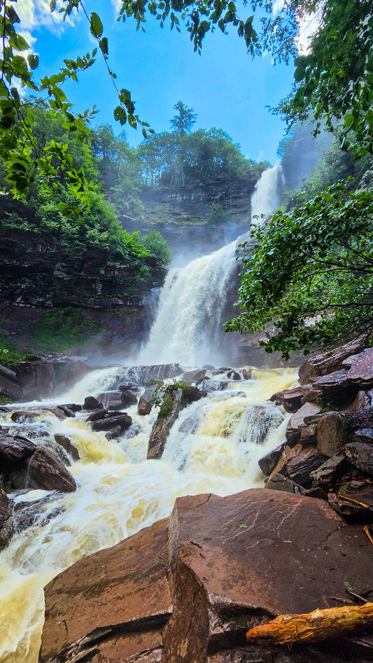 *NEW* Summer Friday Group Hikes - From $25, Including Pickup! (Select Dates)