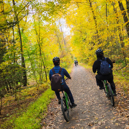 Two people riding bicycles on a leaf-covered path through a forest with autumn foliage.