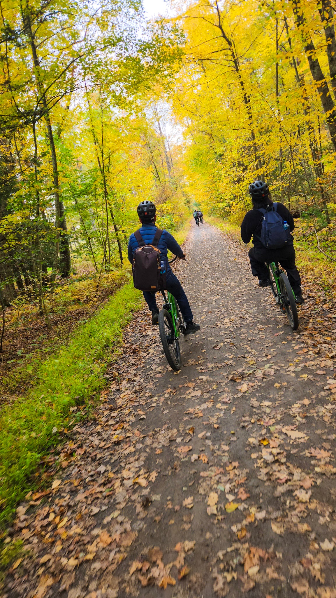 Two people riding mountain bikes on a leaf-covered forest path during autumn, with yellow and green trees surrounding the trail.