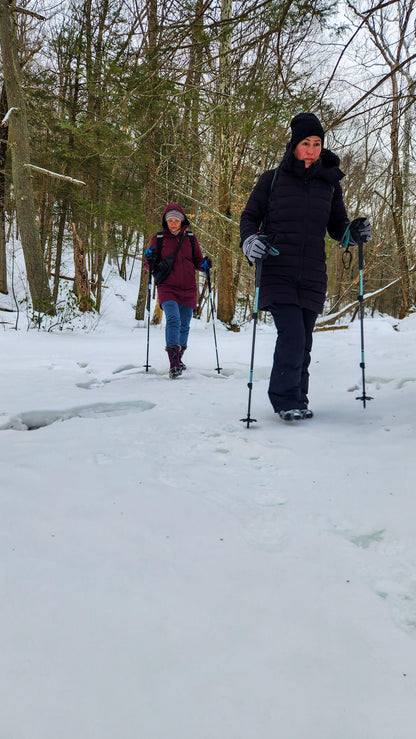 Winter Group Hikes - Only $20, Including Pickup! (Select Dates)