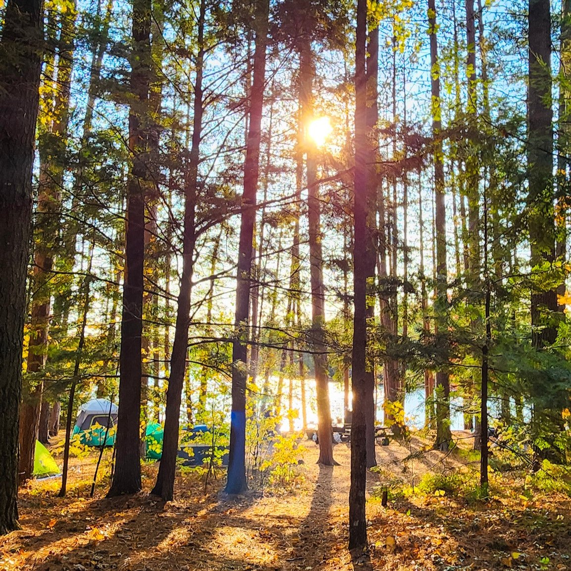 Canoe Camping in The Adirondacks