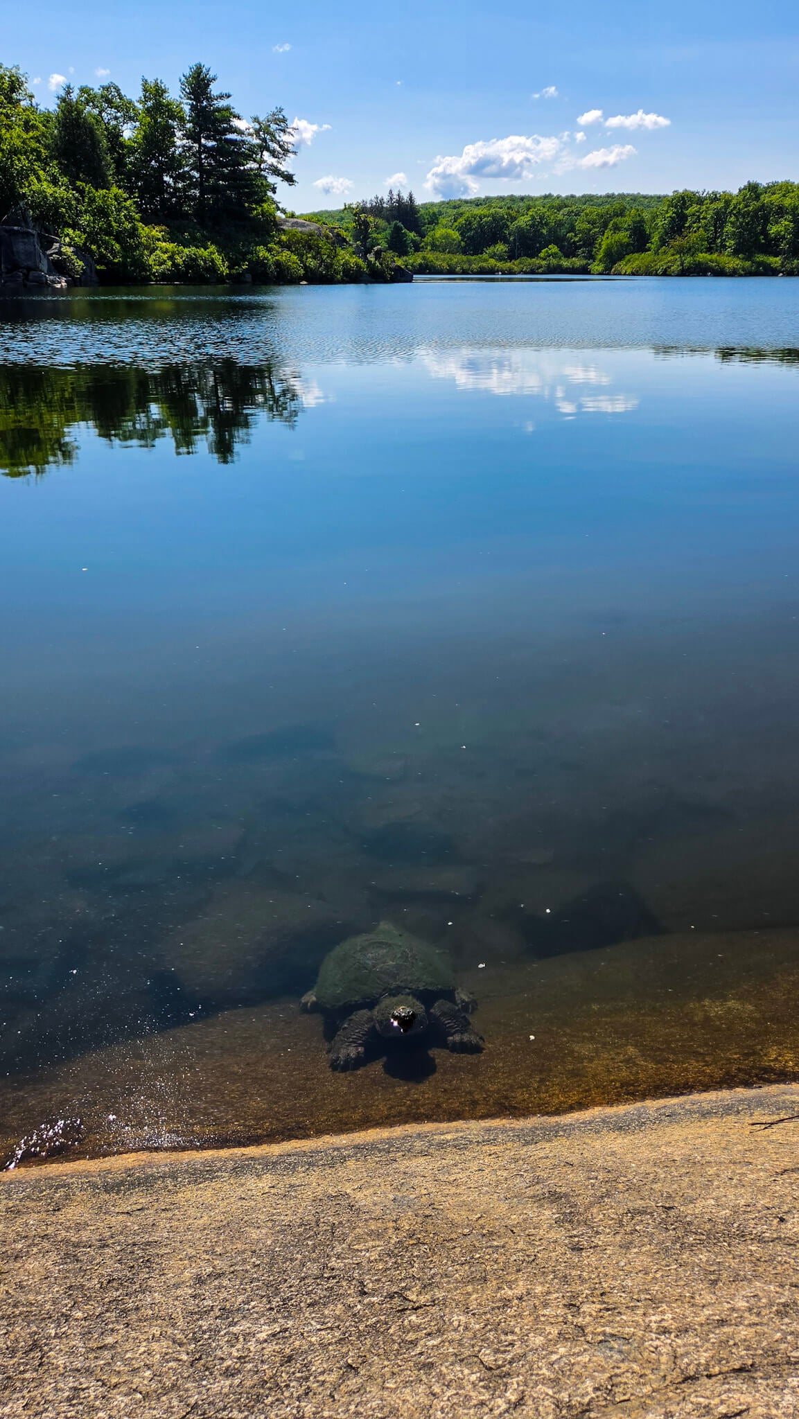 *NEW* Summer Friday Group Hikes - From $25, Including Pickup! (Select Dates)