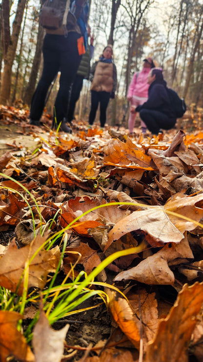 *NEW* Fall Friday Group Hikes - From $30, Including Pickup! (Select Dates)