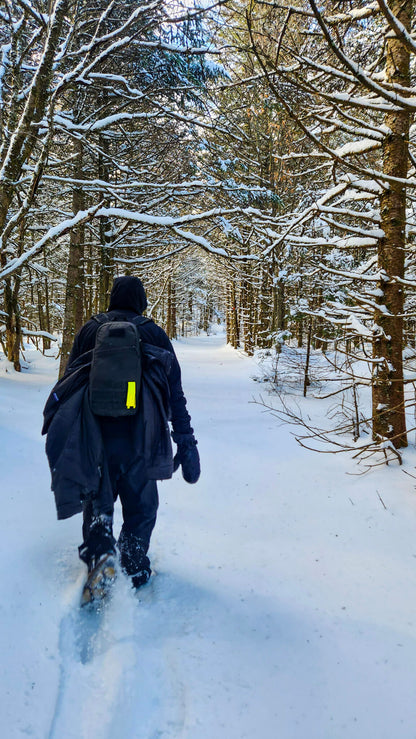 Winter Group Hikes - Only $20, Including Pickup! (Select Dates)