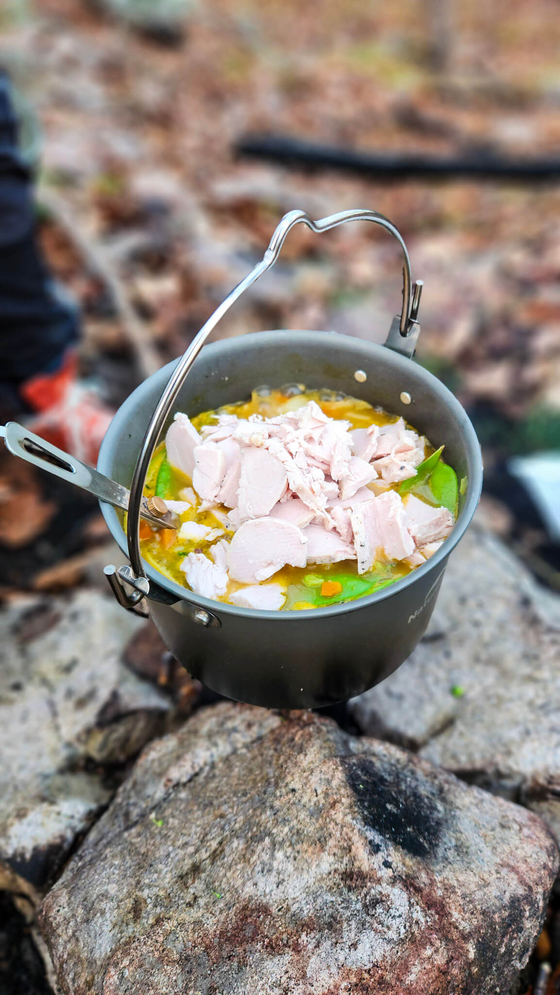 Pre-Thanksgiving Intermediate Overnight Backpacking and Wild Camping at Sterling Forest State Park (Nov 21 & 22, 2026)