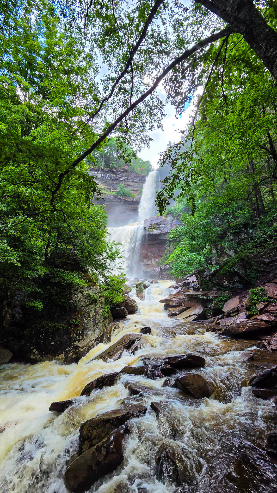 *NEW* Summer Friday Group Hikes - From $25, Including Pickup! (Select Dates)