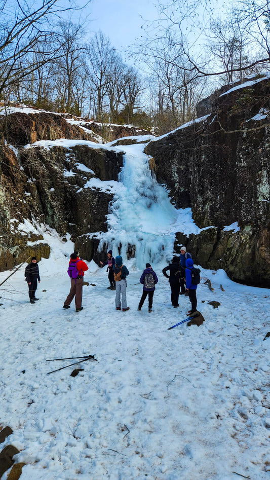 *NEW* Winter Group Hikes - Only $20, Including Pickup! (Select Dates)